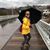 Stacey Winick's profile image