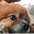 Kasandra Chapman's profile image
