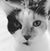 Michelle Mitchell's profile image