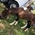 Onan Perez's profile image