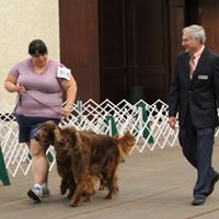 Victoria Lindeman's profile image