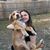 Allison Brooke Crawford's profile image
