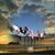 Patricia Sullivan's profile image