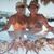 Kristi Register's profile image