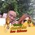 Sidy Mballo's profile image