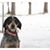 Sherry Keranen's profile image