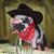 Kathie Dragoo's profile image