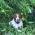 Bradley Tripp's profile image
