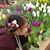 Bettybb Bermudez's profile image