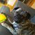 Michael Leger's profile image