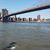 Vito Verde's profile image