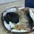 Lisa Beth Cole Register's profile image