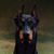 Kim Fitzsimmons's profile image