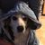 Janet Nulf-Loper's profile image
