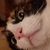 Roberta Belli's profile image