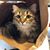 Carol Vickery Munro's profile image