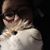 Cheyenne Cassidy Groves's profile image