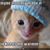 Sandy Schmidt's profile image