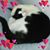 Mary Timperio's profile image