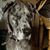 Dawn Micki Smith's profile image