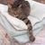 Dina Michie's profile image