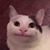 Yi Mila's profile image