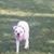 Rebecca Crystal Mikesell Wooldridge's profile image