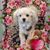 MJ Chick Sullivan Eickenhorst's profile image