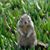 Jim Brunner III's profile image
