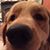 Brandon Riechers's profile image