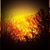 Debra Renner Hunt's profile image