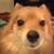 Sandi Solomon Milliken's profile image