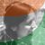 Swati Chowdhary's profile image