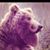 Jacob Bearcat Carron's profile image
