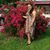 Maria S. Rivera's profile image