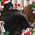 Allie Patricia McAlister Keller's profile image