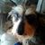 Elizabeth Atkins's profile image