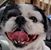 Mike Bewley's profile image