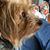 Debra Brooks's profile image