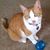 Nancy Skidmore's profile image