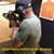 Christopher Nicholas Reams's profile image