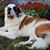 Valerie D Wilson's profile image