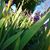 Whitney McCall's profile image
