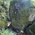 Karalyn Aronow's profile image
