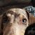Linda Cartwright Slater's profile image
