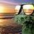 Wayne Glazman's profile image