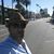 Ahmed Atef Awad's profile image