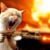Roger Addington's profile image