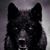Alberto Camacho's profile image