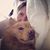 Lisa LaMendola's profile image